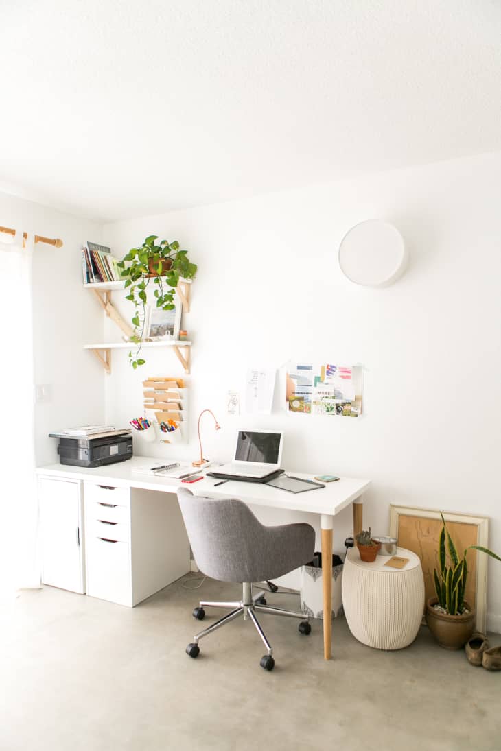 14 Best Office Plants Easy Plants to Keep on Your Desk Apartment